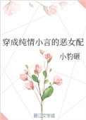 穿成纯情小言的恶女配 作者:小豹砸