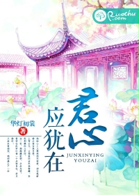 《君心应犹在》作者:华灯初裳