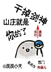 综干掉那柄刀无防盗