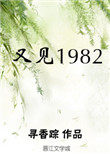 小说又见1982