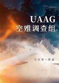 uaag空难调查组txt百度云