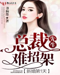 总裁新婚甜如蜜免费阅读全文