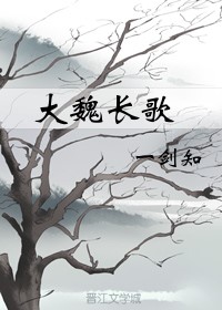 大魏长歌宝石效果图高清