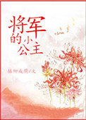 将军的小公主 小说