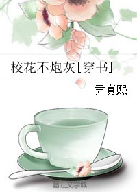 校花不炮灰txt